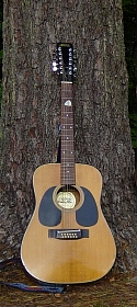 Westerngitarre
