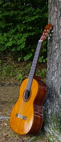 Konzertgitarre